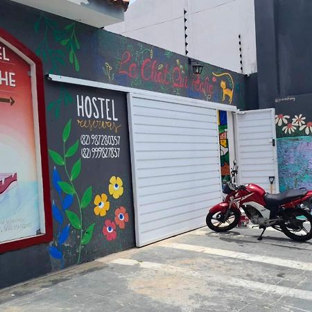 "Le Chat Qui Peche" Hostel A 150 Metros Da Praia De Pajucara Maceió Exteriér fotografie